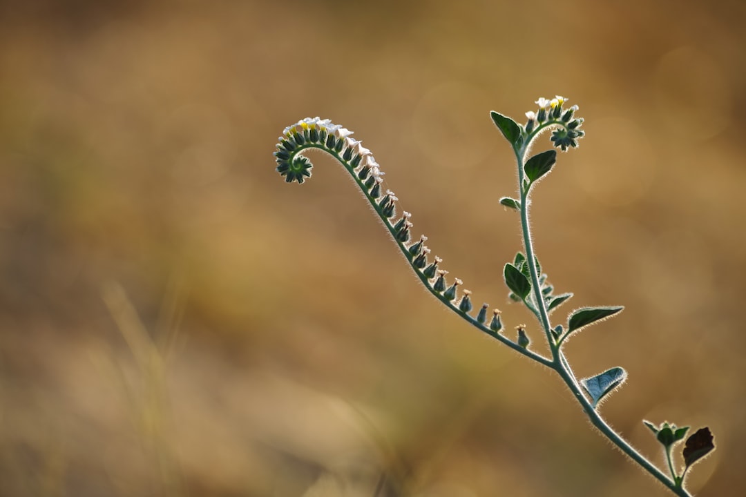 Epigenetik: Pflanzliche Diäten formen Gene 2025